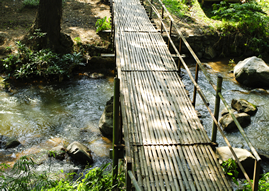 Bamboo Bridge over a brook